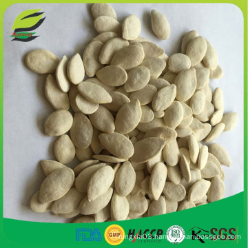 High quality Roasted and Salted Pumpkin Seeds for sale